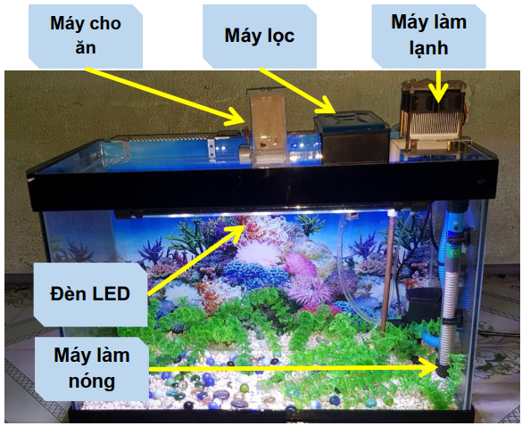 Đồ án thiết bị hỗ trợ nuôi cá tự động